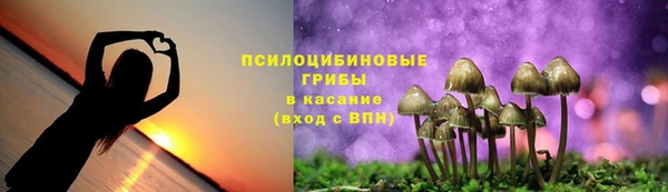 бошки Алексин
