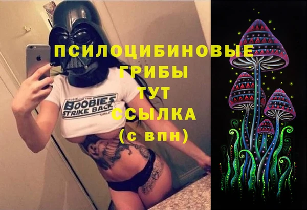 дживик Алзамай